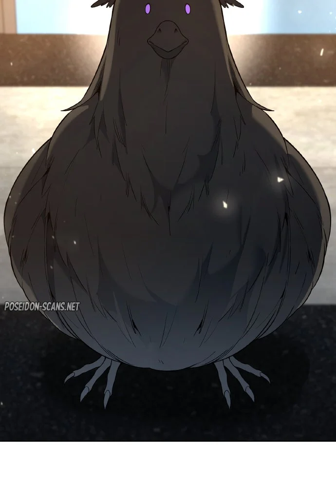 Chapter Image 186