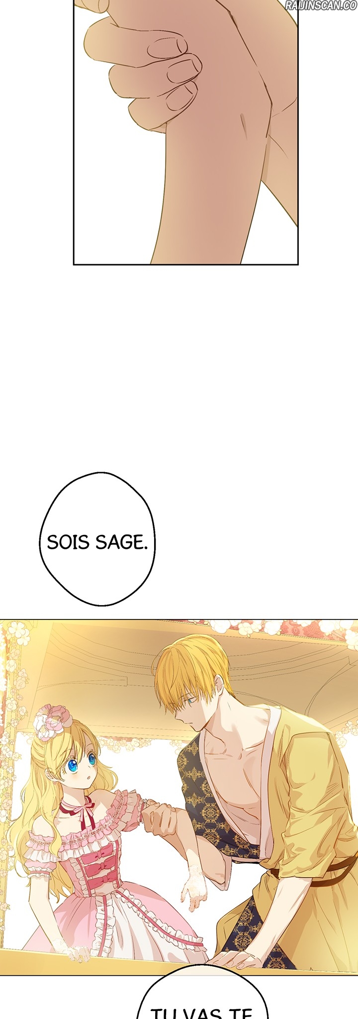 Chapter Image 556