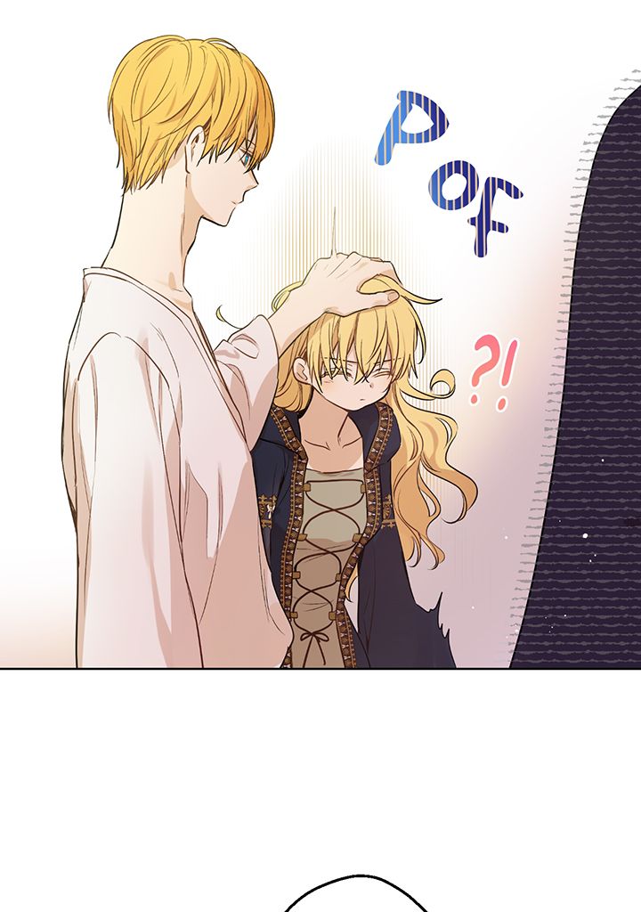 Chapter Image 556