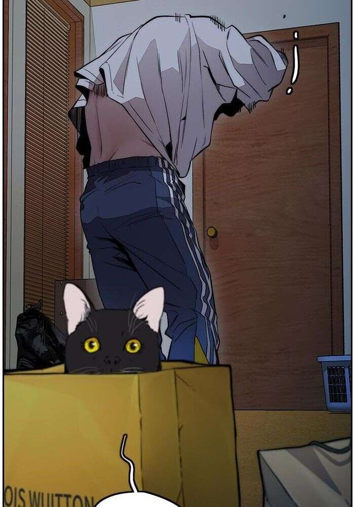 Chapter Image 519